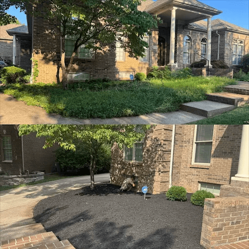 Landscape Bed Restoration - Before and after landscaping by Cox Landscapes in Lexington Area, KY