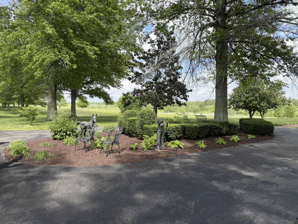 Circular driveway island with bronze horse statues, shaped hedges and hostas
