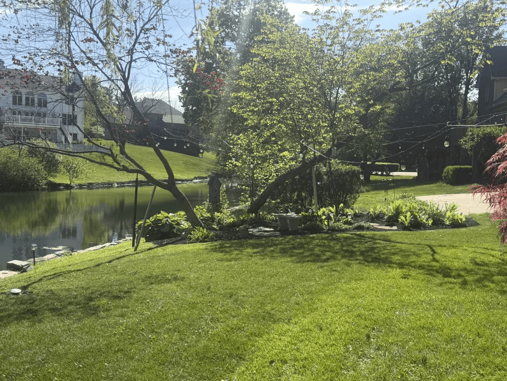 Lakefront yard with string lights, water garden feature and manicured lawn