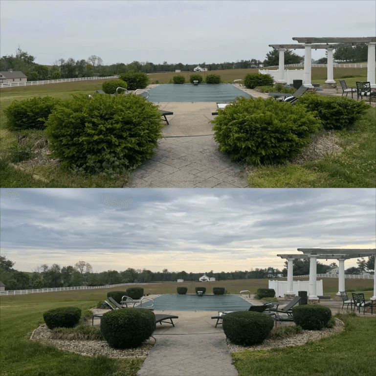 Pool area with sculpted boxwood hedges and pergola — before and after